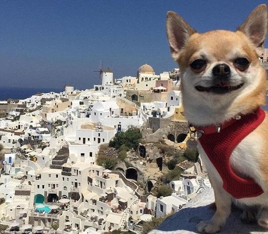 嘻嘻旅行热点图片