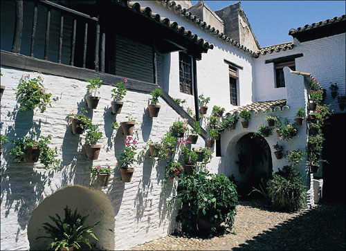 旅游攻略美食图片