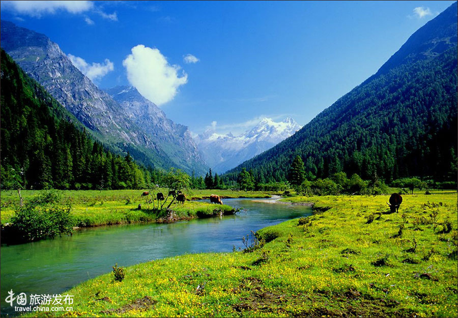 夏之阿坝：岂止黄龙九寨