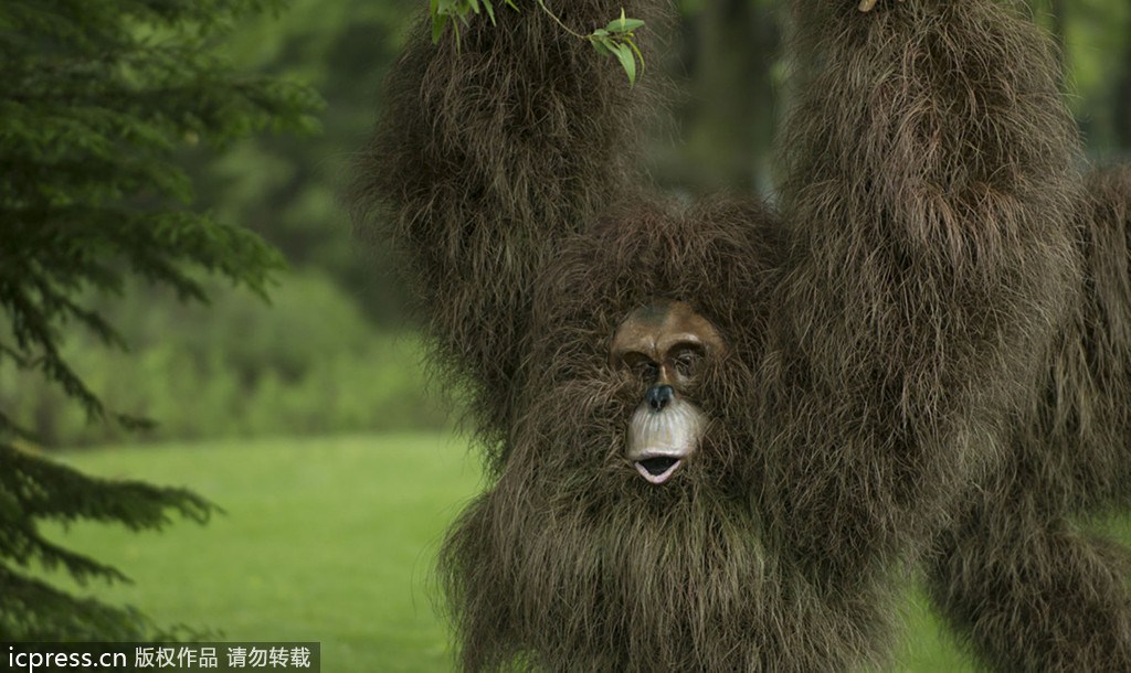 蒙特利尔园艺展 看有意思的“植物雕塑”